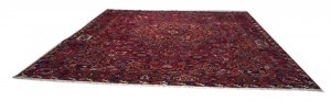 Bakhtiary persiano cm 415x345 - immagine 5