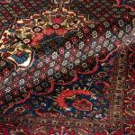 Bakhtiary persiano cm 235x155