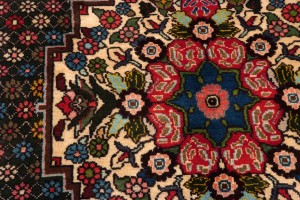 Bakhtiary persiano cm 235x155 - immagine 7
