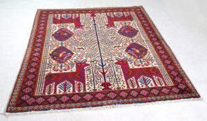 Share Babak persiano cm 200x150 - immagine 3